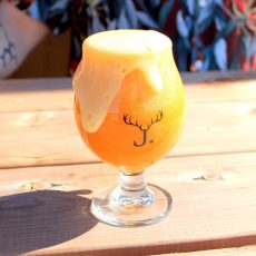Jackalhop-verre-FBL Jackalhop-verre-FBL
