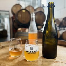 Gallicus-verre-FBL24 Gallicus-verre-FBL24