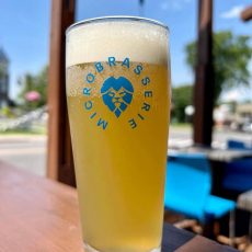 Lionbleu-verre-FBL24 Lionbleu-verre-FBL24