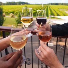 Vignoble_Rivière_du_Chêne_William-verre Vignoble_Rivière_du_Chêne_William-verre