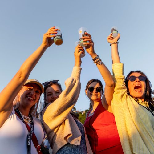 FestibiereL-26062025-ElisabethJolyPhotographe-7578