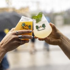 FestibiereL-28062025-ElisabethJolyPhotographe-0775