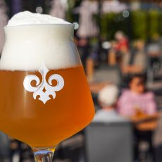 nouvelle-france-verre-FBS25 nouvelle-france-verre-FBS25