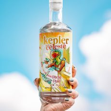 486387876_2120084768455579_2054432854242372211_n