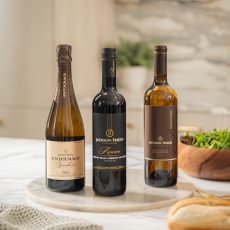 557597687_1227475596089207_5897442758491811095_n