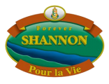 logo-shannon-vide-2 logo-shannon-vide-2